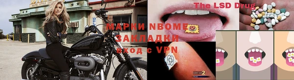 индика Алзамай