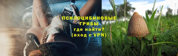 индика Алзамай