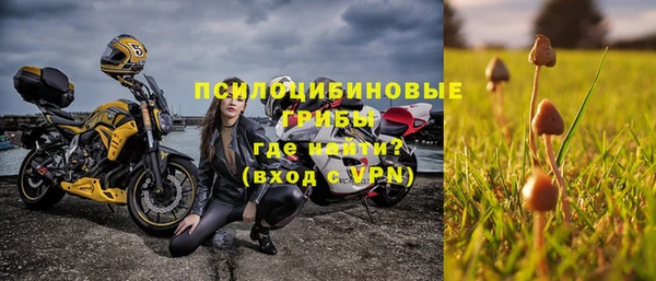 индика Алзамай